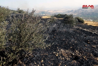 إخماد الحريق الذي نشب في محيط بلدة عين حلاقيم جنوب مصياف