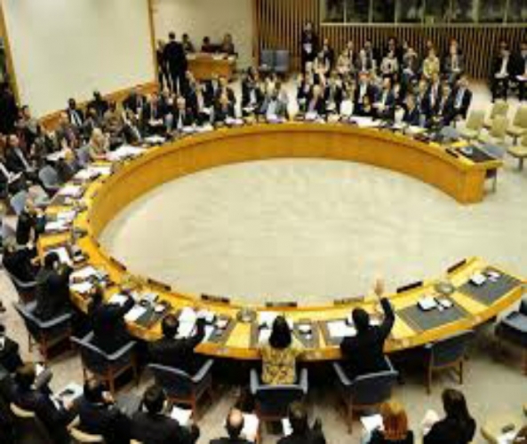 مجلس الأمن يتبنى قرارا بإدانة استهداف المنشآت الطبية في مناطق الحروب  