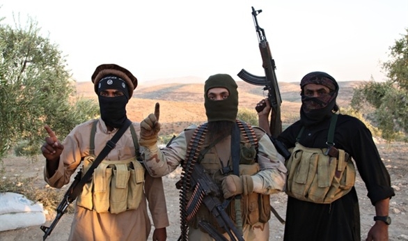 وزير الدفاع البريطاني: دمرنا نحو 800 مليون دولار من مخزون داعش 