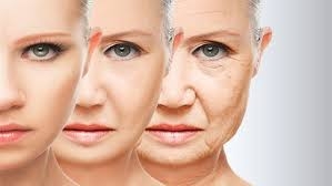 طبيب فرنسي : 80% من علامات الشيخوخة مرتبطة بالعوامل البيئية