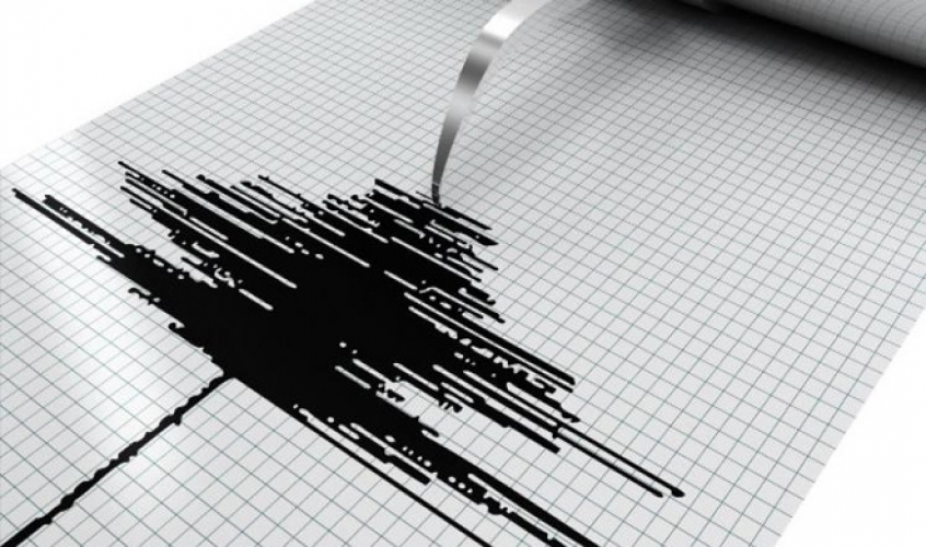 زلزال بقوة 4.6 درجات يضرب سواحل 