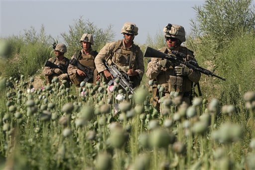  أرقام مرعبة: تعرف على العلاقة بين الجيش الأمريكي و إنتاج المخدرات