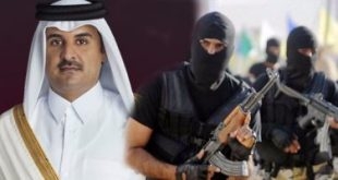 صحيفة عكاظ: قطر استهدافت الرياض وأبو ظبي بمخطط إرهابي