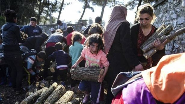 اليونان تنقل بعض طالبي اللجوء من جزيرة ليسبوس إلى البر الرئيسي