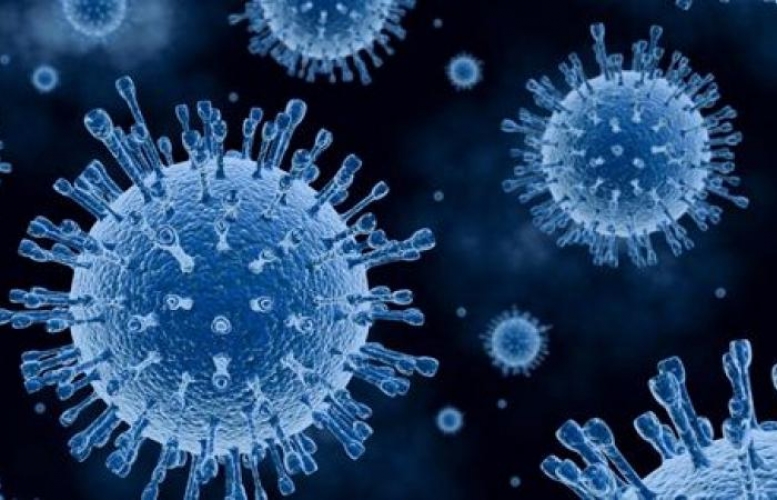 فيروس رهيب بلا علاج يهدد سكان أستراليا ؟!