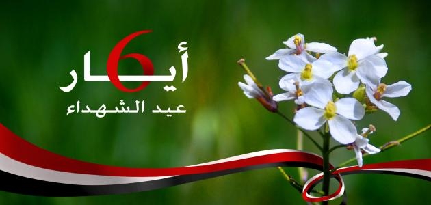 بالفيديو: عيد الشهداء.. رئاسة الجمهورية