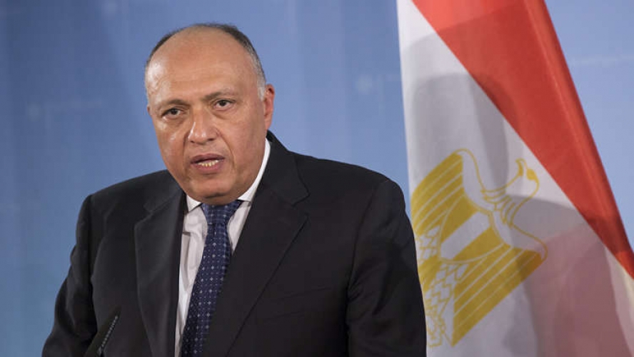 وزير خارجية مصر: لا حلول عسكرية لأزمتي سوريا وليبيا