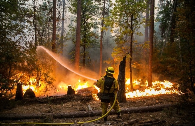 ارتفاع عدد ضحايا حرائق غابات كاليفورنيا الأمريكية