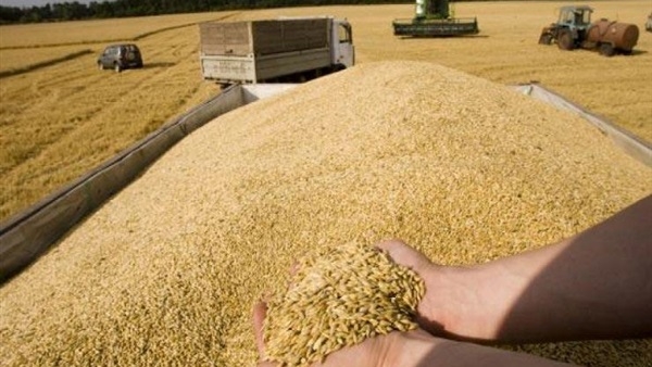 توريد مليون طن من القمح الروسي وتصدير منتجات زراعية سورية بـ٥٠ مليون دولار