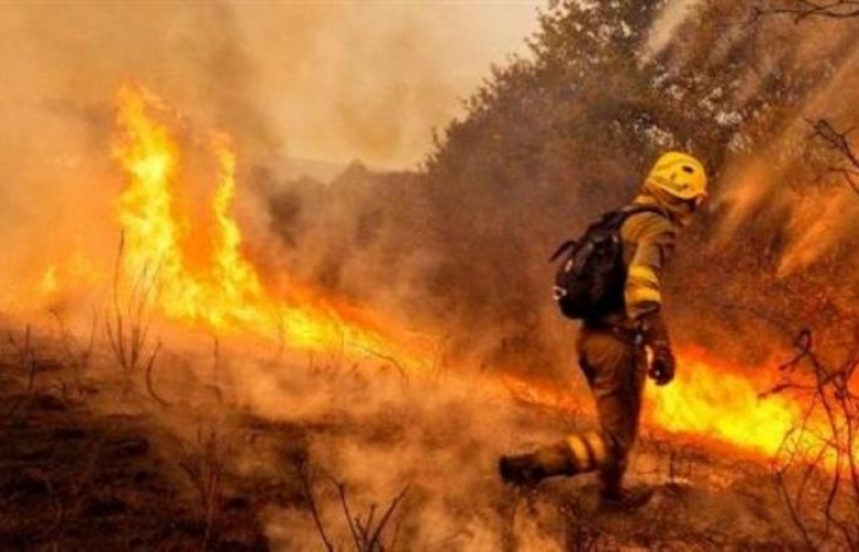 عدد قتلى حرائق غابات كاليفورنيا وصل 48 شخصا