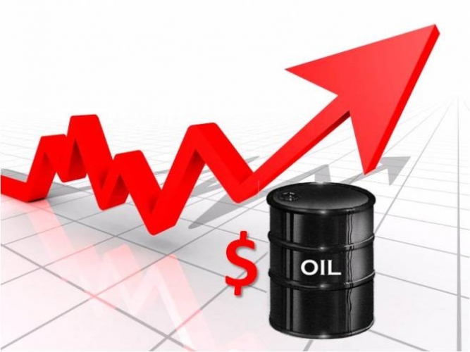  النفط يرتفع دولارا للبرميل بعد انخفاضه 6% 