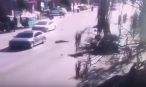 بالفيديو: سيارة تدهس عددا من أطفال المدارس في الصين
