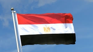 مصر تسقط الجنسية عن مواطنة لهذا السبب