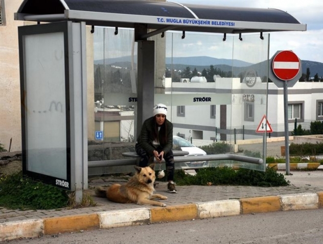 كلب ينتظر أصحابه عامًا كاملًا في موقف الحافلات
