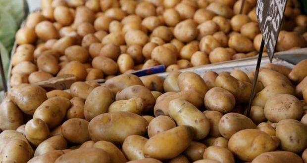 البطاطا بسعر 300 - 325 ليرة في صالات السورية للتجارة!