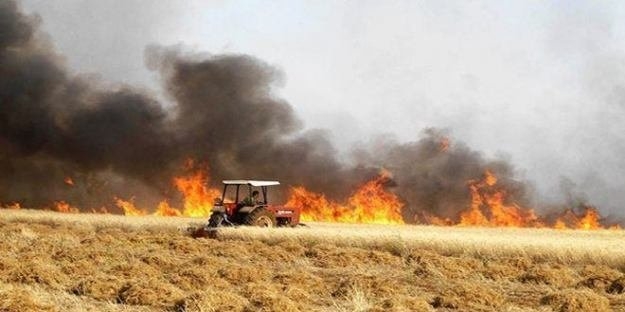 تضرر نحو 4000 دونم مزروعة بالقمح والشعير جراء الحرائق في الحسكة