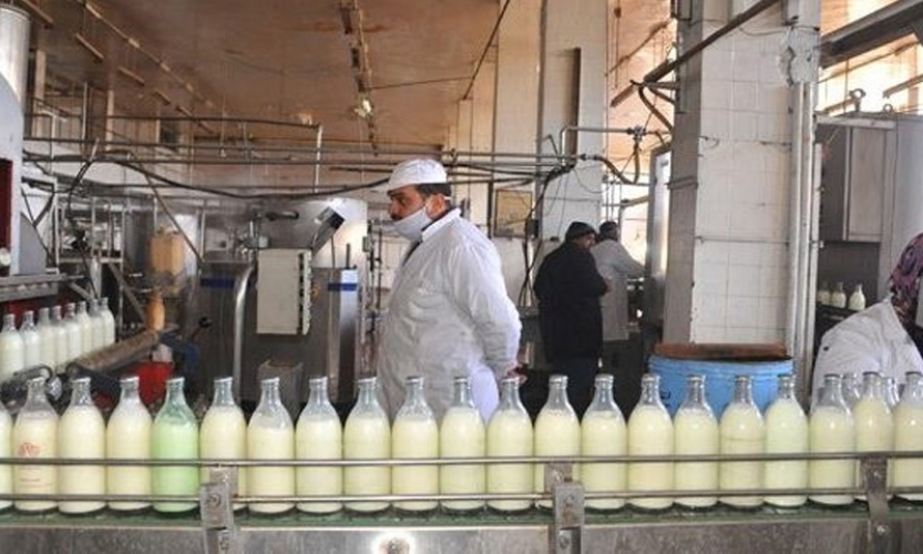 ارتفاع اسعار الحليب بسبب تهريبه الى لبنان.. شركة حكومية تنوي إنتاج جبن 