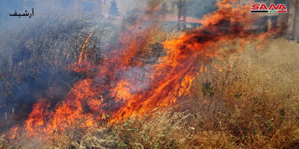 آلاف الدونمات من الأراضي الزراعية والحراجية تلتهمها النيران في سهل الزبداني وجبالها