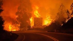 مئات رجال الإطفاء يكافحون حرائق الغابات وسط البرتغال