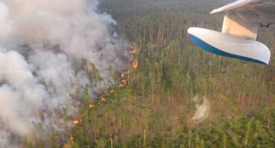 تقلص مساحة حرائق الغابات في سيبيريا لأول مرة منذ أسابيع