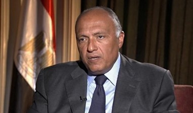 وزير الخارجية المصري يعلق على التحريض القطري التركي ضد بلاده