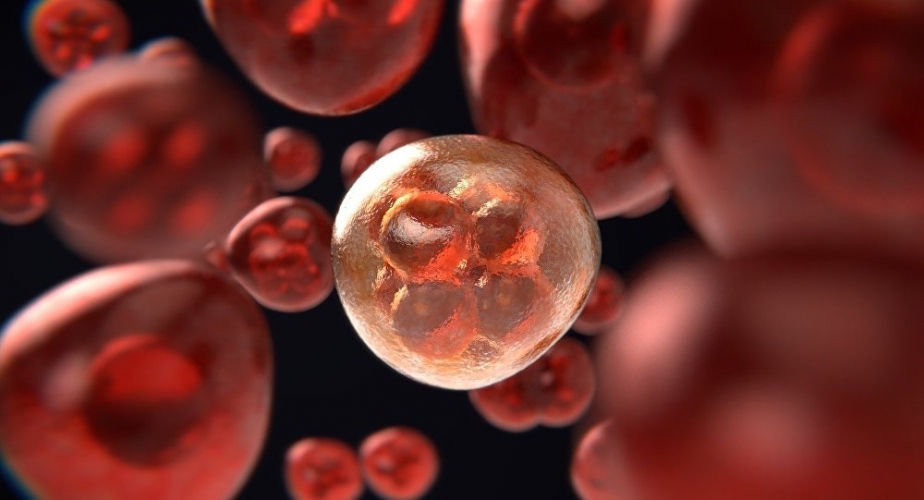  كيف ينشأ السرطان من الخلايا العادية؟ و ما علاقة الفيروسات ..؟
