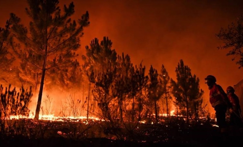 اعلان الطوارئ في شرق استراليا لمواجهة الحرائق