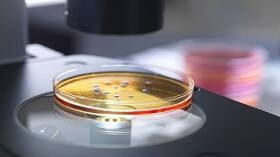  البنتاغون يسعى لاستخدام البكتيريا المعدلة وراثيا كجهاز 