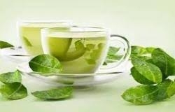 الشاي الأخضر.. مفتاح علاج السل المقاوم للأدوية