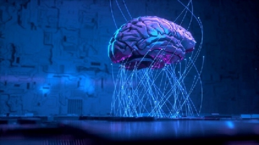 8 معلومات مثيرة تعلمناها عن الدماغ في 2019   