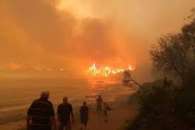 اشتداد الحرائق في أستراليا والجيش يساعد بعمليات الإجلاء