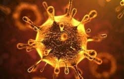 أستراليا تنشئ نسخة من فيروس 
