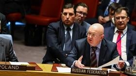 موسكو: الجلسات الطارئة لمجلس الأمن حول إدلب تعقد كلما وجد الإرهابيون أنفسهم في ورطة   