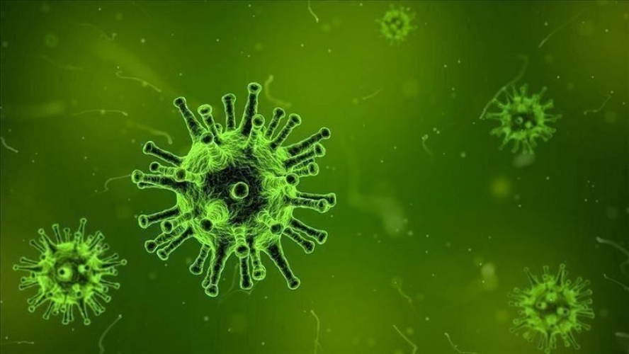 نصائح الصحة العالمية … كيف تتفادى العدوى أثناء رعاية مريض بفيروس كورونا؟ او مشتبه بالمرض