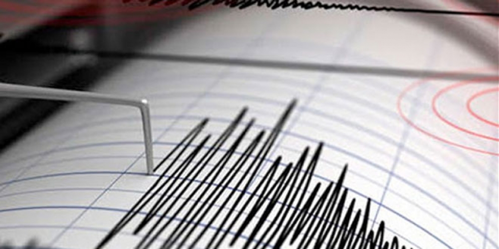 زلزال بقوة 4ر6 درجات يضرب ولاية نيفادا الأمريكية   
