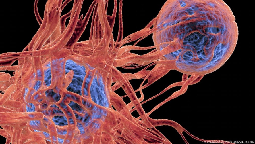 اليابان تصنع فيروس لمحاربة السرطان