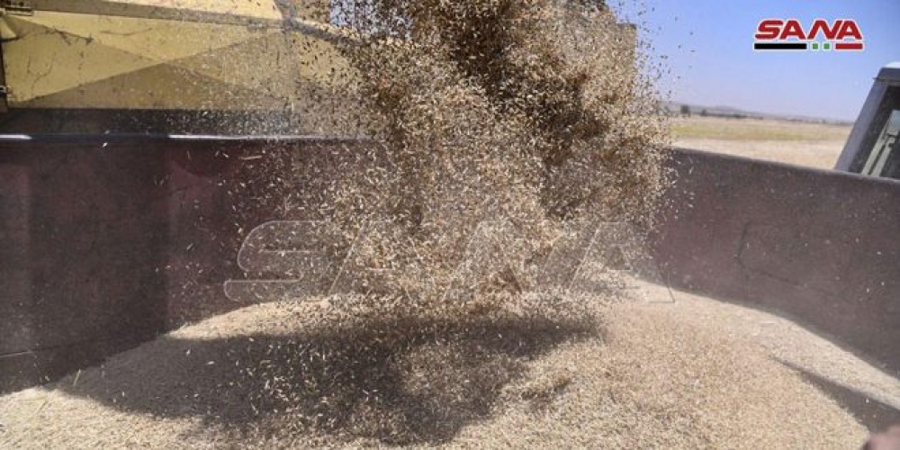 اللجنة الاقتصادية توصي بالموافقة على اعتبار الحد الأعلى لمجموع الشوائب في القمح بنسبة 20 بالمئة   
