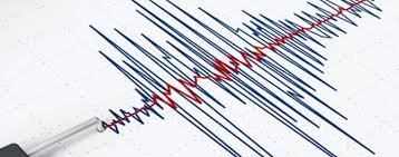 زلزال بقوة 7,5 درجات يضرب جنوب المكسيك