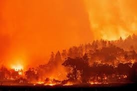 إجلاء 60 ألف امريكي في كاليفورنيا جراء الحرائق   