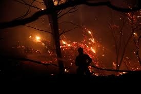اليونان.. حرائق غابات جديدة شمالي أثينا 