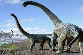 اكتشاف حيوان بحري أقدم من الديناصورات عمره نحو 500 مليون عام في كندا