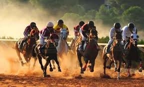 الجمعية السورية للخيول العربية الأصيلة تختتم روزنامتها للعام الحالي بإقامة الدوري ال 8 لسباق السرعة  