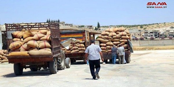 افتتاح مركزين لاستلام القمح من الفلاحيين في درعا