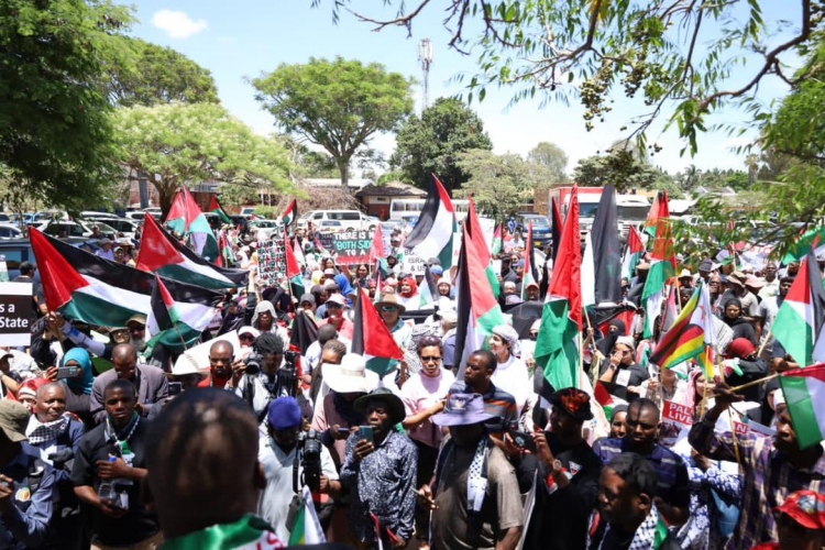 زيمبابوي تشهد تظاهرة حاشدة دعما للفلسطينيين وتنديداً بالعدوان