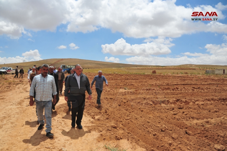 وزير الزراعة: استصلاح 500 دونم ضمن مشروع التوسع بزراعة الوردة الشامية