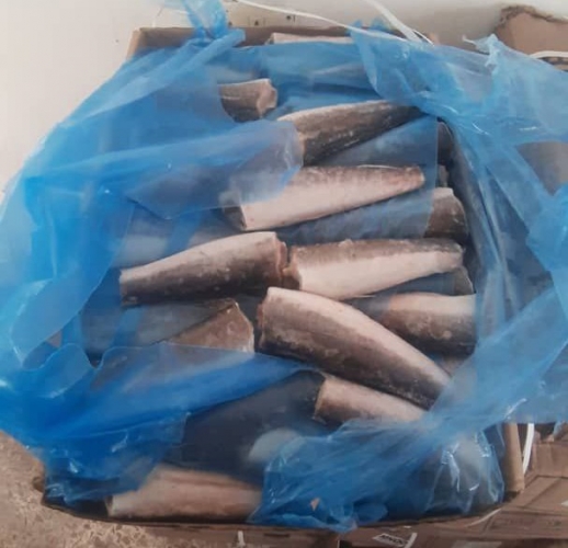 ضبط أكثر من 1400 كغ أسماك مجمدة مجهولة المصدر بريف دمشق