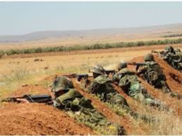 الجيش يحبط هجوم مجموعة إرهابية على قرية جدية بريف درعا