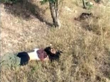 مقتل العشرات من إرهابيي النصرة بغارات لسلاح الجو السوري في ريف ادلب مقتل العشرات من إرهابيي النصرة بغارات لسلاح الجو السوري في ريف ادلب
