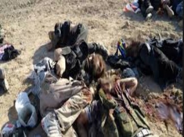 مقتل 11 إرهابياً في عمليات للجيش العراقي شرق الفلوجة بمحافظة الأنبار