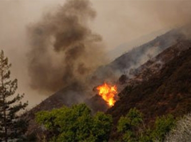 أمريكا.. إعلان حالة الطوارئ في ولاية كاليفورنيا جراء حرائق الغابات